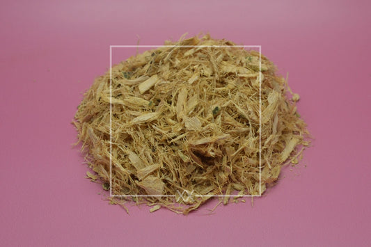 Erythrina mulungu Coral Tree