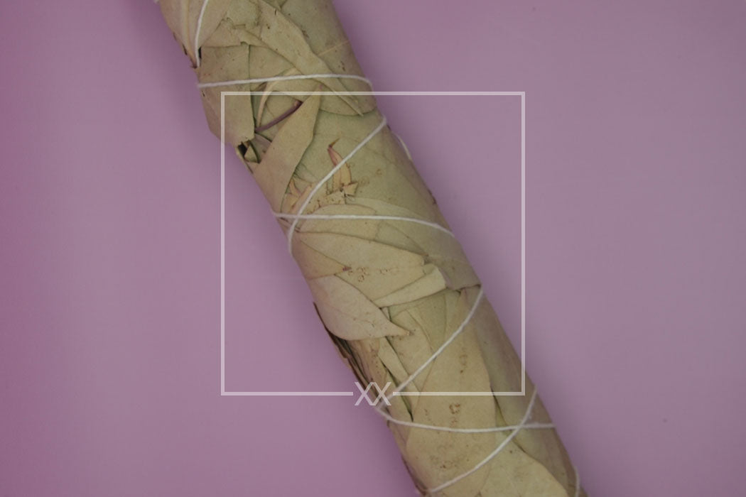 Eucalyptus Smudge-bundel