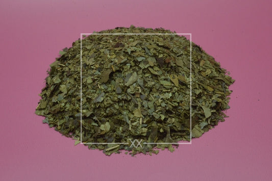 Ilex guayusa Shredded