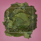Ilex guayusa Whole