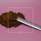 Inonotus obliquus Chaga-Pulver