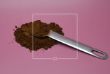 Inonotus obliquus Chaga-Pulver