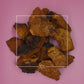 Inonotus obliquus Chaga