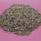 Lavandula hybrida Lavender