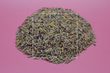 Lavandula hybrida Lavender