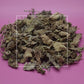 Leonotis leonurus Wild Dagga Leaves