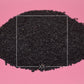 Nigella sativa Black Cumin