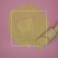 Panax ginseng Root white