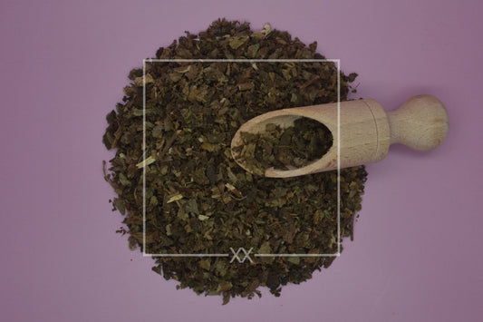 Pogostemon cablin Patchouli