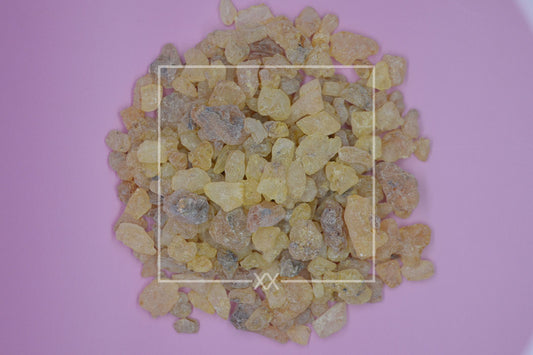 Protium crassipetalum Copal Gold