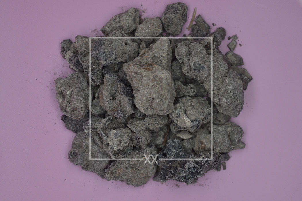 Protium paniculatum Copal Zwart