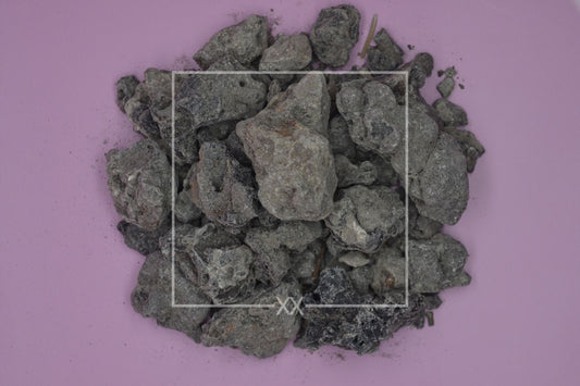 Protium paniculatum Copal Schwarz