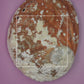 Red Abalone Shell -L-