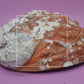 Red Abalone Shell -L-
