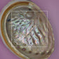 Red Abalone Shell -L-