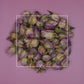 Rosa damascena Rose Buds