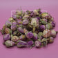 Rosa damascena Rose Buds