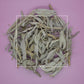Salvia apiana White Sage