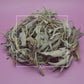 Salvia apiana White Sage
