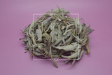 Salvia apiana White Sage