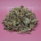 Salvia officinalis Sage