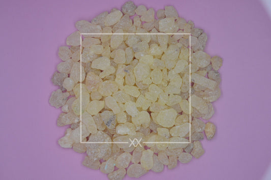 Shorea wiesneri Copal Wit