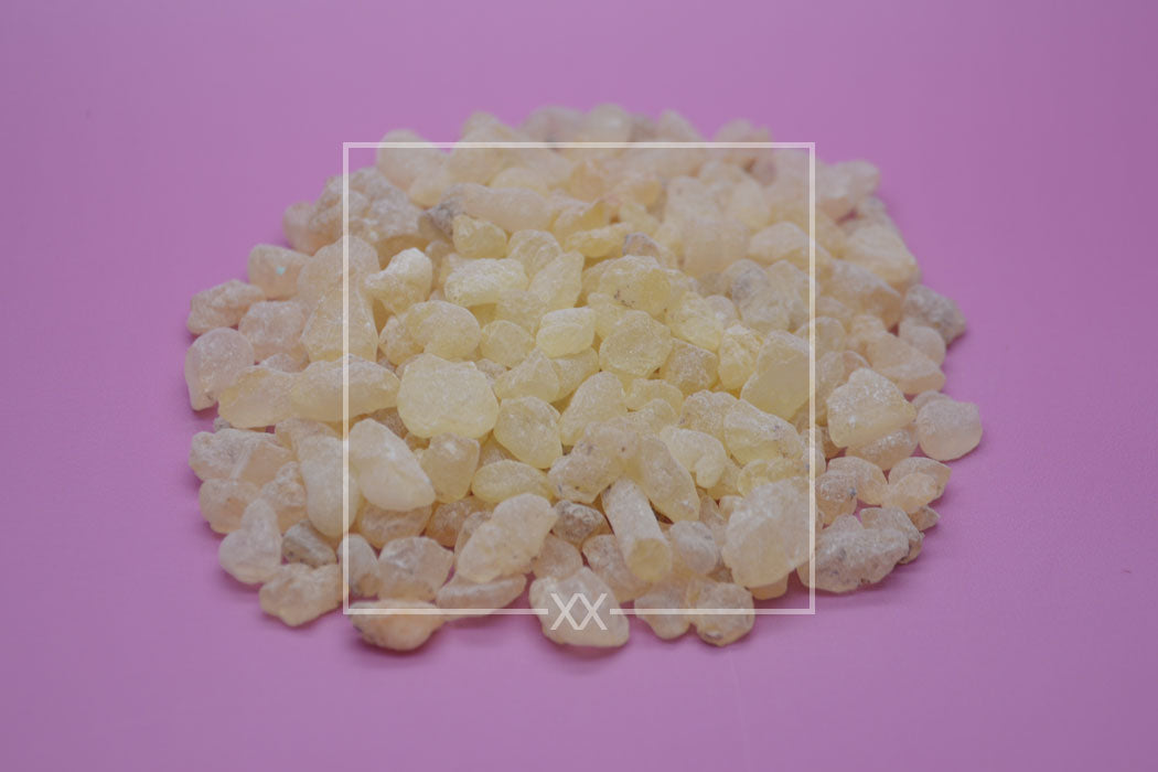 Shorea wiesneri Copal Wit