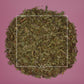 Taraxacum officinale Dandelion Leaves