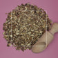 Taraxacum officinale Dandelion Root