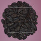 Theobroma cacao Cacao Beans