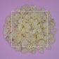 Vateria indica White Dammar