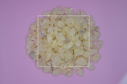 Vateria indica Weißer Dammar