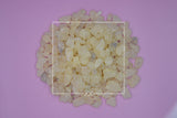 Vateria indica White Dammar