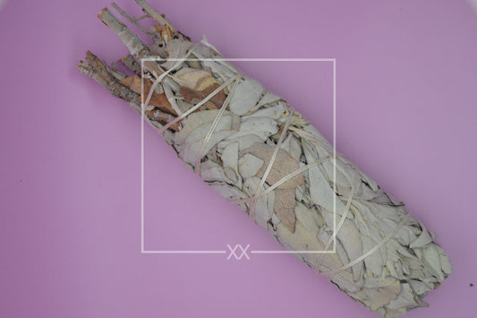 Weißes Salbei-Smudge-Paket